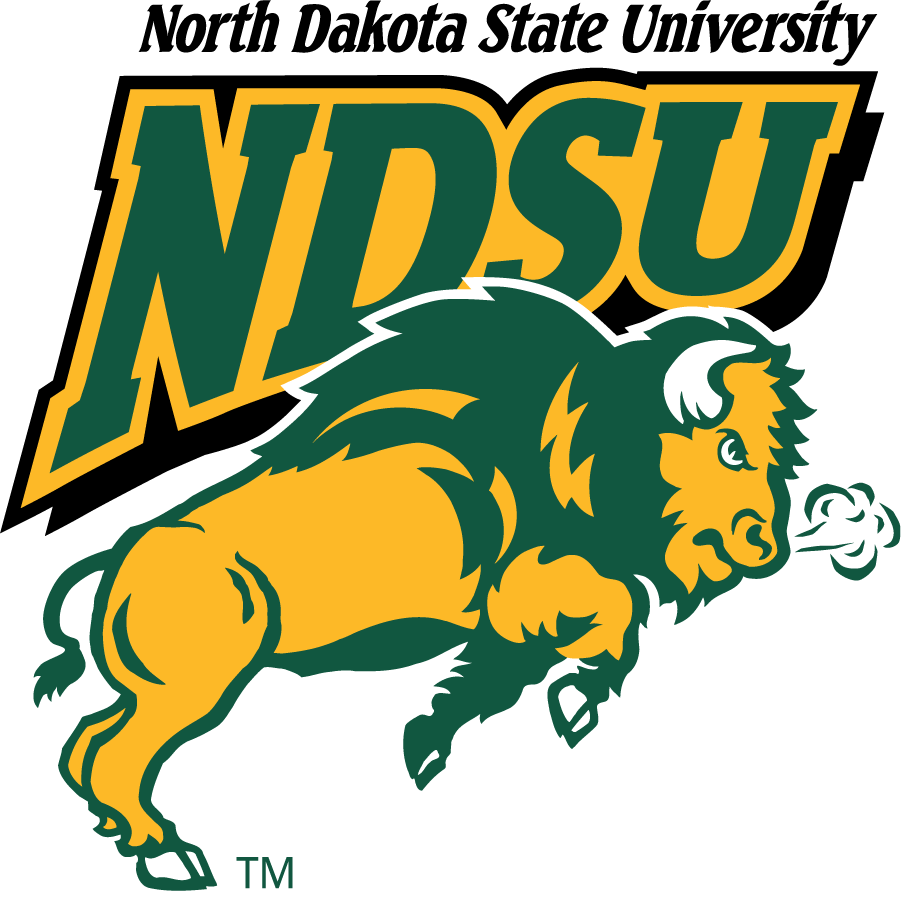 North Dakota State Bison 1999-2012 Alternate Logo v2 iron on transfers for T-shirts